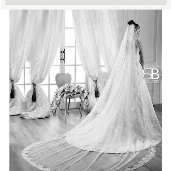 Wedding Veil - Picture 3 of 8